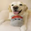Steel Dog - Hero Lifeguard